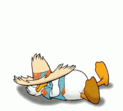 Donald Duck Siesta - The Art of the Siesta Power Naps- Attila's Blog